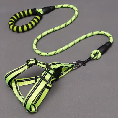 Set harnais et laisse réfléchissants pour chien (vert, taille XS)